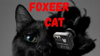 На сколько  хорош Foxeer CAT ночью???