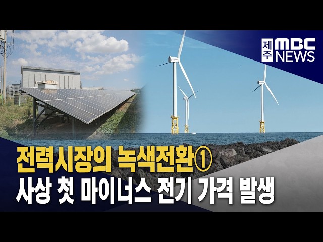 [전력시장의 녹색전환]① 사상 첫 마이너스 전기 가격 발생