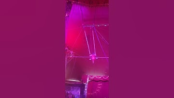 The Aerialist #circus  #aerialists #circuslife #aerialvideo #theroyalcanadiancircus