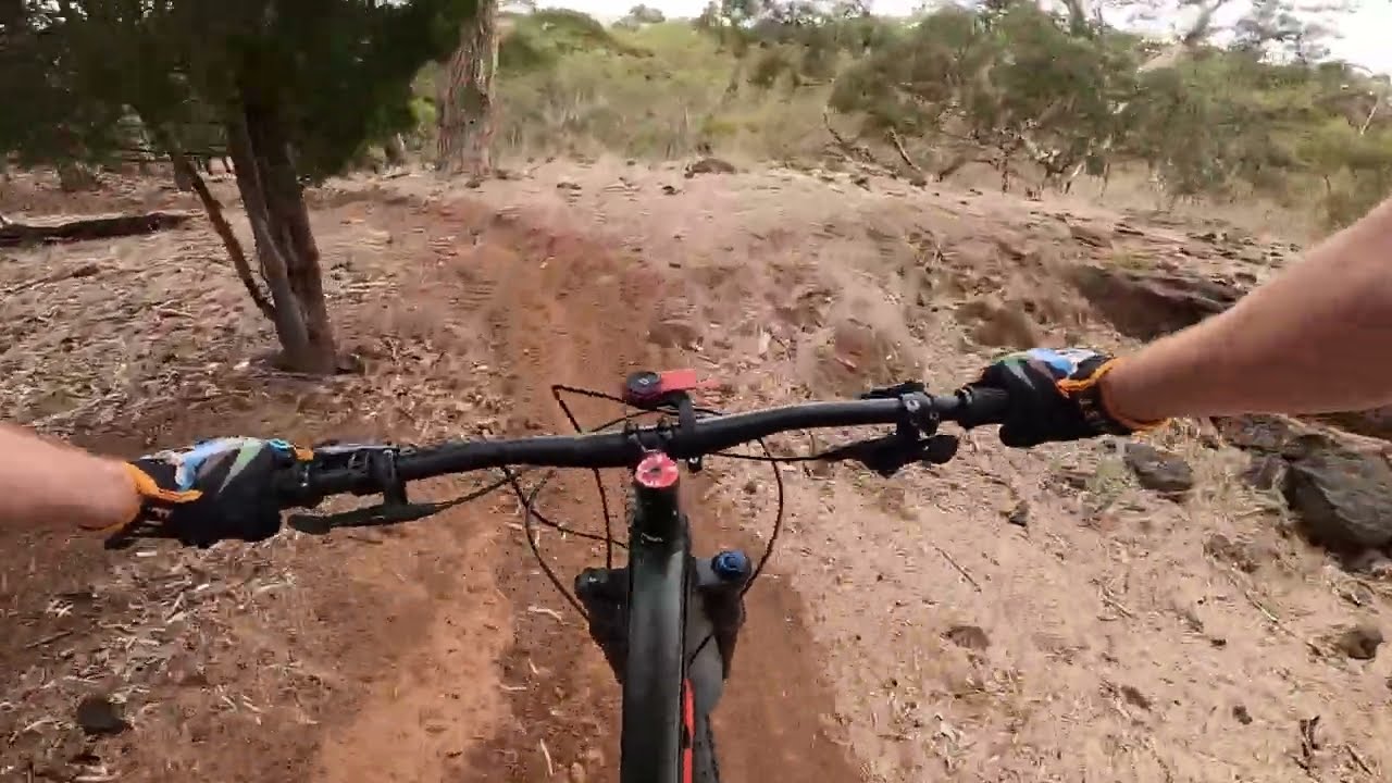 Anstey Hill - Swoopy - MTB