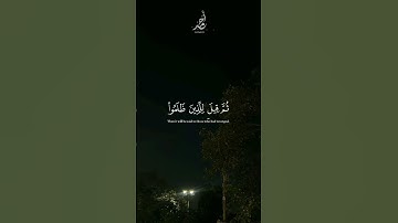 سورة يونس | القارئ : #عبدالرحمن_مسعد #quran #راحة_نفسية #viral #foryou #اجر_لي_ولكم 🤍.
