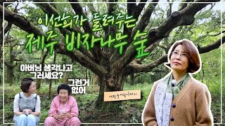 [추석맞이 국내여행] 유년의 숲에 두고온 나를 만나다｜이선희와 함께 한 비자나무숲 이야기 Nutmeg trees of Jeju (KBS힐링다큐 나무야나무야_20201002)