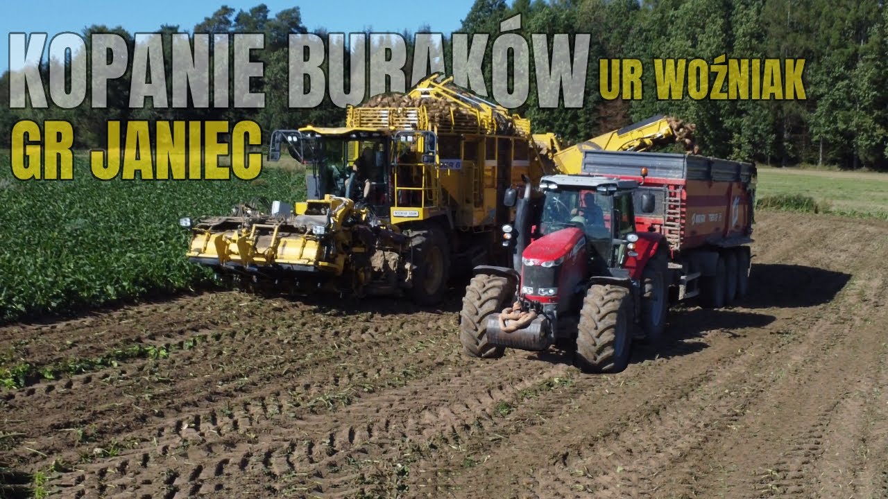 ✩KOPANIE BURAKÓW 2025 ✔ROPA TIGER6S & MASSEY FERGUSON 7624✔GR JANIEC✩UR WOŹNIAK✩
