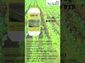 Bio 91