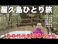【屋久島】80代元気ばあちゃんのひとり旅/島内を巡って大自然を満喫しました/鹿児島