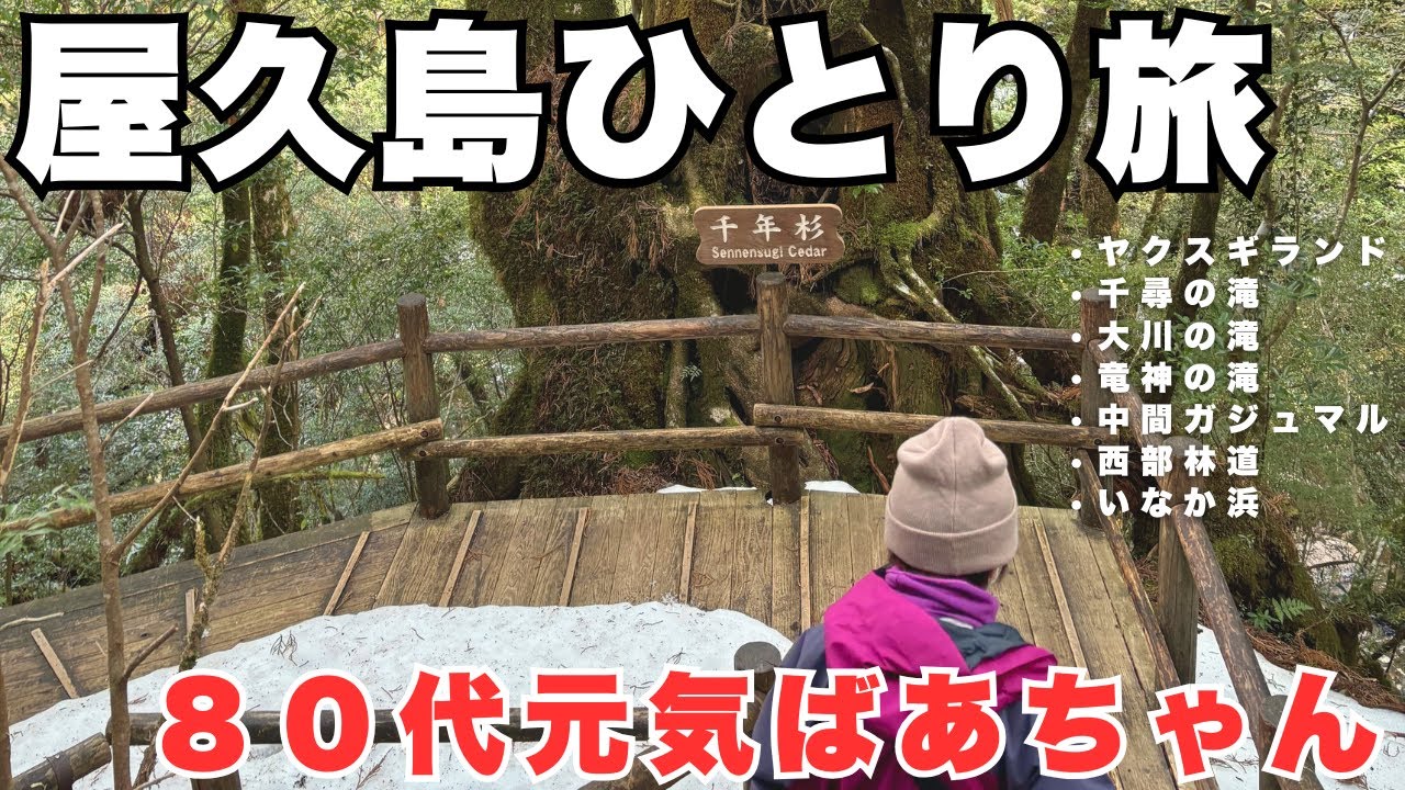 【屋久島】80代元気ばあちゃんのひとり旅/島内を巡って大自然を満喫しました/鹿児島