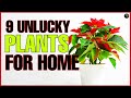 Malas na Halaman sa Loob ng Bahay | Unlucky Plants that Bring Bad Luck to Your Home 2022 | Bhes Tv