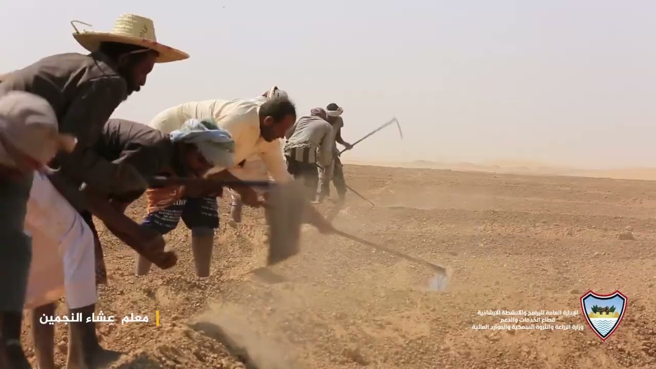 #معلم_عشا_النجمين.                   #معلم_يُذكّر الناس بأن الحصاد             