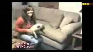 Sharik Shou Gde Ty Byl Vypusk 6