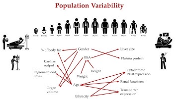 Physiologically based pharmacokinetic modeling for the simulation of relevant clinical scenarios