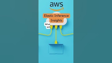 Elastic Inference Insights