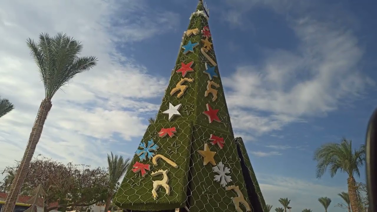 ЕГИПЕТ-2025-ШАРМ. #5 - ТРАНСФЕР из АЭРОПОРТА в отель SHARM BRIDE RESORT. ДЕНЬ ПЕРВЫЙ