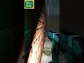 run for your life | best 2025 horror game #games #gaming #runninggame #darkgame #endlessrunner