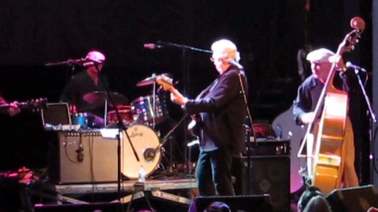 BOB FISH - Stompin Night Wilcats