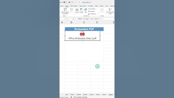 Embed PDFs in Excel Files in 1 Minutes Without Any Hassle!