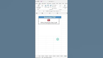 Embed PDFs in Excel Files in 1 Minutes Without Any Hassle!