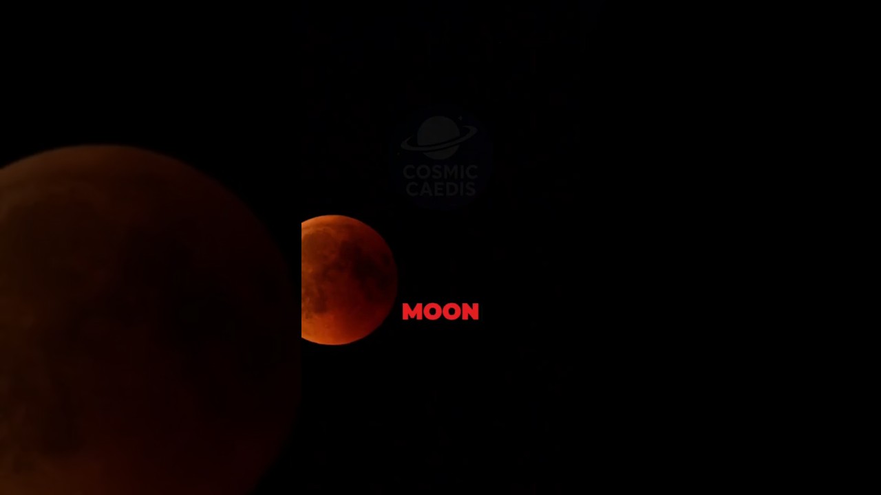 Don't Miss This RARE 2026 Blood Moon Opportunity!