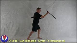 Tanbo - Exercises  for Stronger Hand Changes and Grappling