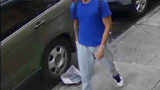 1742 18 Robbery 66 Pct 6 28 18