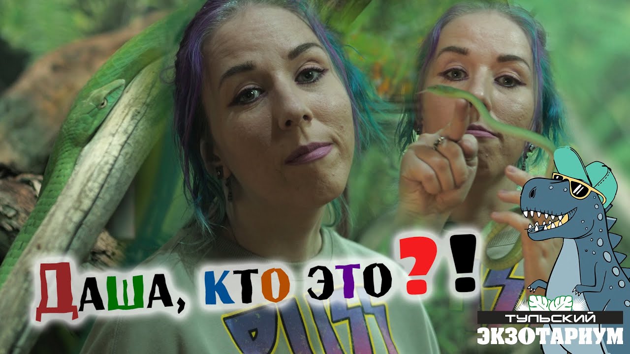 ПЛЕТЕВИДНАЯ ЗМЕЯ / Ahaetulla prasina