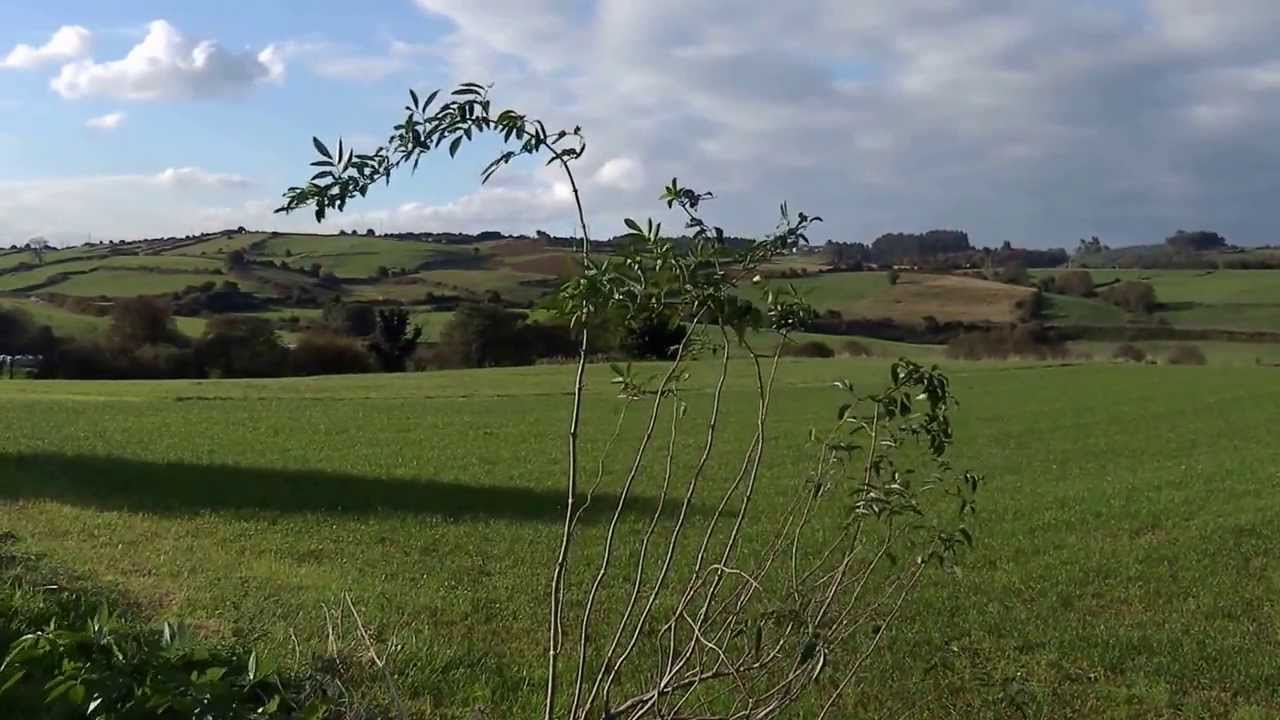 EL VALLE DE CARREÑO (ASTURIAS), EN RUTA A TAMÓN, CORVERA Y AVILÉS