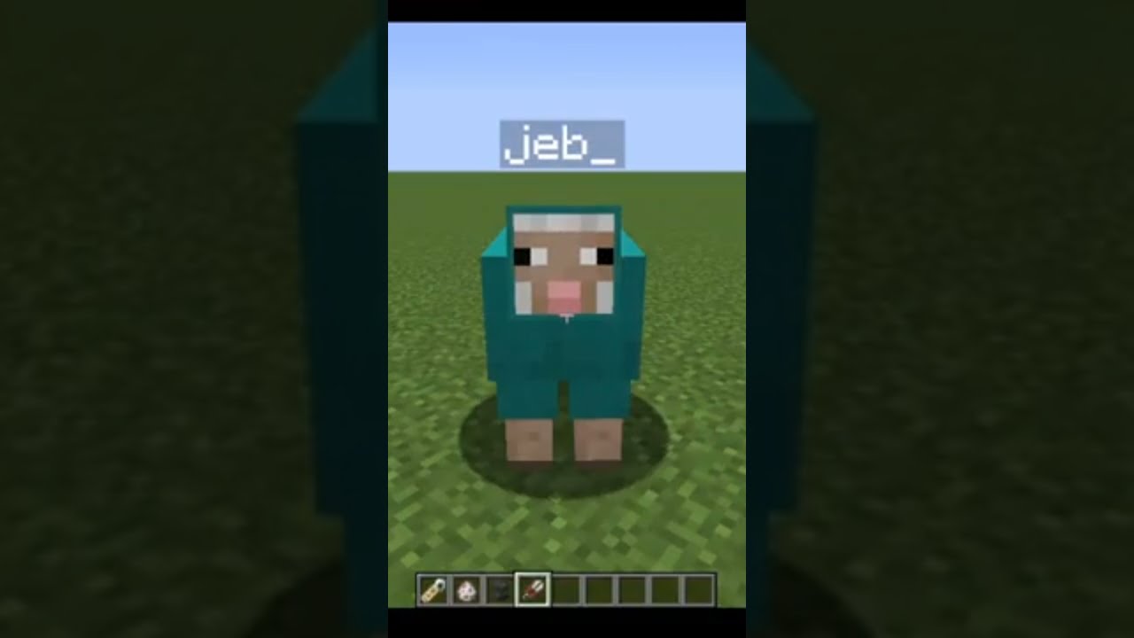 color full sheep 🐑 