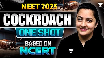 Cockroach | One Shot | Based on New NCERT | NEET 2025 | Infinity Series | Ambika Ma