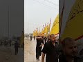 رفت رايات المشايه