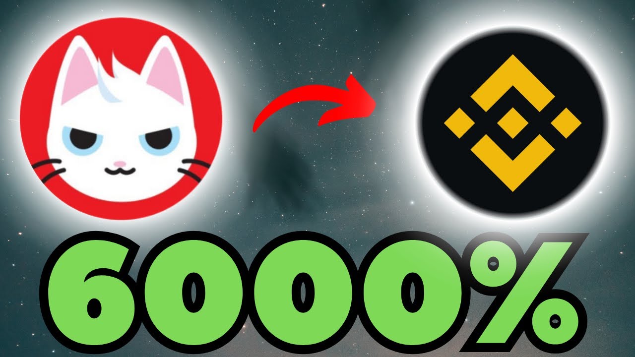 CAT IN A DOG'S WORLD COIN LISTING UPDATE || IS BINANCE GOING TO LIST ...