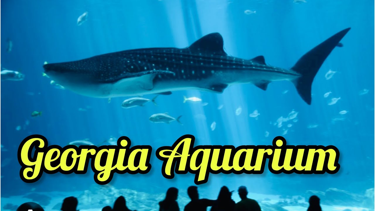 GEORGIA AQUARIUM # 1 Largest Aquarium in USA ! - fun - travel - sharks