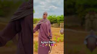 Koko Bulle ✌️❤️🩹❤️ Resimi