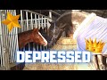 We are depressed, we have to do something about it! Spa day for the Queen👑and more | Friesian Horses