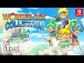 Test  wonder boy collection switch