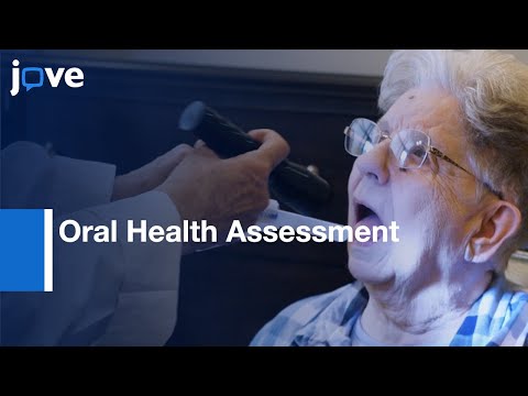 Chapter 24 Older Adult Health Assessment Quizletindex