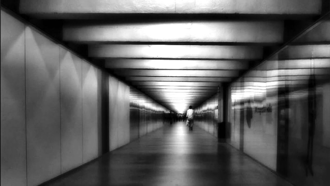 Shadow World by Chris Impey Book Trailer