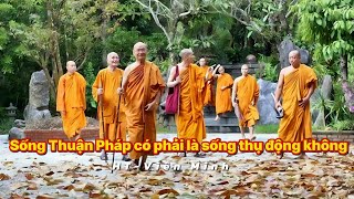 Sống Thuận Pháp có phải là sống thụ động không - HT Viên Minh