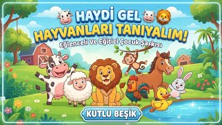 Haydi Gel Hayvanları Tanıyalım 🐮 🦁 Eğlenceli Ve Eğitici Çocuk Şarkısı Kutlu Beşik