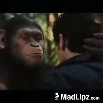 lucu Kingkong dan Manusia Berbisik