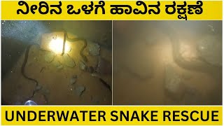 UNDER WATER SNAKE RESCUE | ನೀರಿನ ಒಳಗೆ ಹಾವಿನ ರಕ್ಷಣೆ  (SNAKE RESCUE #116