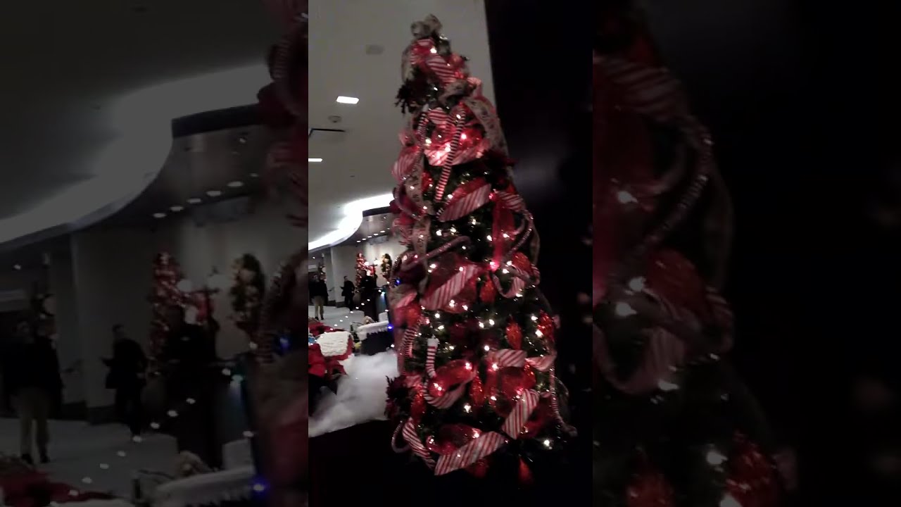 Dr Julie rao topdoctor yola yoga laughing Dr Albert Einstein tan, Yelp ...