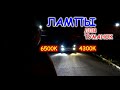 ЛАМПЫ ДЛЯ ТУМАНОК 4300К И 6500К // ТОПЧИК ИЛИ БЮДЖЕТНО ?