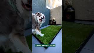 How to unbox your Fresh Patch grass delivery