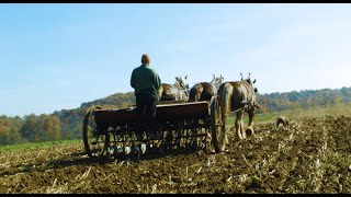 2024 Tuscarawas Valley Farmers Market Video