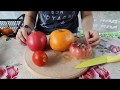 Сорта томатов. Дегустация и описание сортов