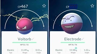 Pokemon Go Voltorb(467) Evolution to Electrode