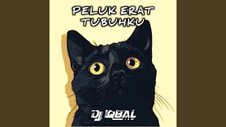 Download Lagu Peluk Erat Tubuhku (Remix) MP3