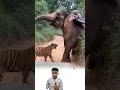 و م ن ي ت و ك ل ع ل ى الل ه ف ه و ح س ب ه فمن كان الله معه فمن  