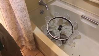 Lorenz Waterwheel Demonstration (Math 3094 Project)