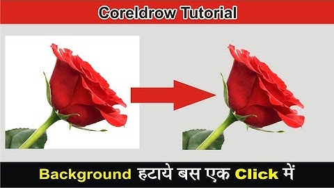 Background Remove in coreldraw | Bitmap color mask