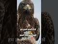 मरना होता तो कब के मर जातेshorts #satisfying #asmr #oddlysatisfying#motivation